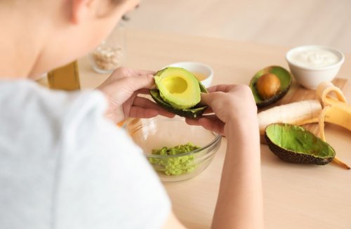 Avocado-Rezepte