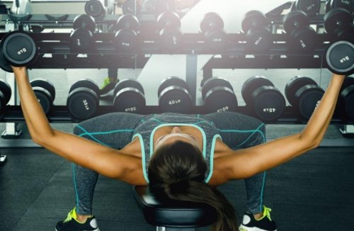 die wichtigsten Fitnessgeräte