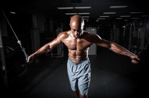 Training für die Brust