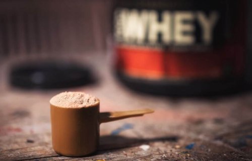 Whey-Protein
