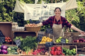 Bio-Lebensmittel: Sind sie eigentlich gesünder?