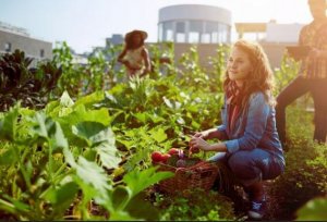 Gesunde, saisonale Lebensmittel: Monat für Monat