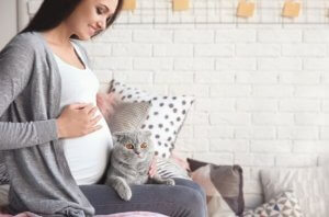 Toxoplasmose in der Schwangerschaft und die Auswirkungen