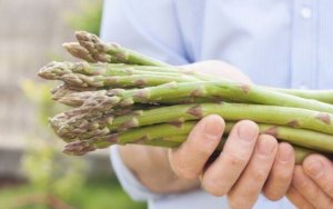 Rezepte mit wildem Spargel