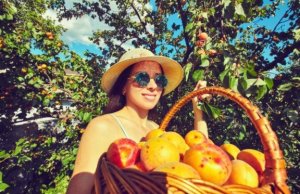 Pfirsiche: Warum sind sie so gesund?