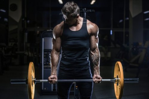 Krafttraining gegen Verletzungen und zur Leistungssteigerung