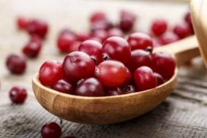 Die Eigenschaften und Vorteile von Preiselbeeren