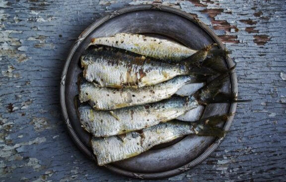 nach dem sport essen - fisch