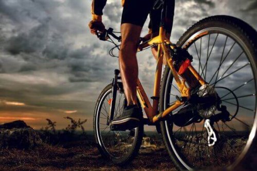 Grundlagen des Radsports, die jeder Radfahrer kennen sollte