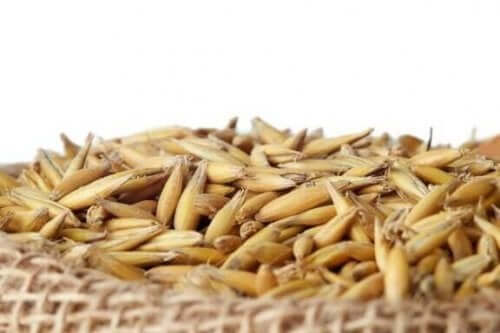 Die Vorzüge von Avena sativa für deinen Körper